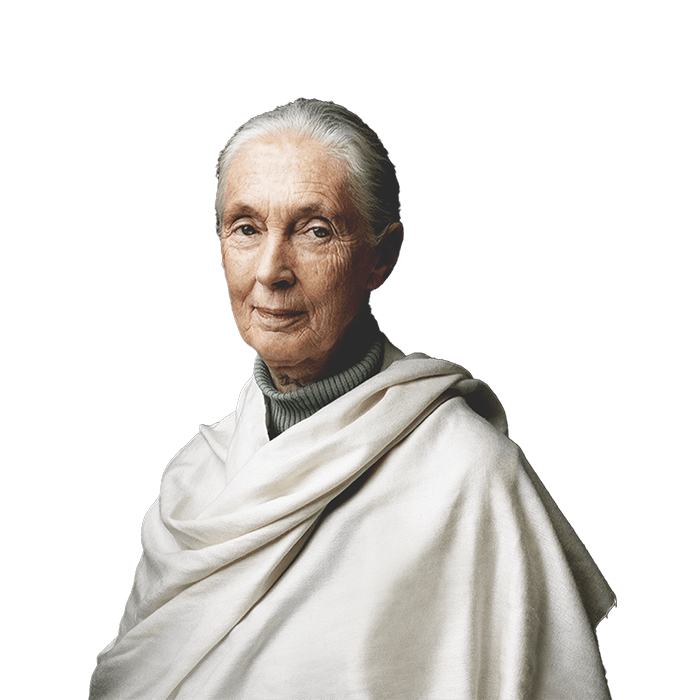 Dr. Jane Goodall, primatologist and activist, wearing a green turtleneck sweater and a tan poncho standing near background of leaves