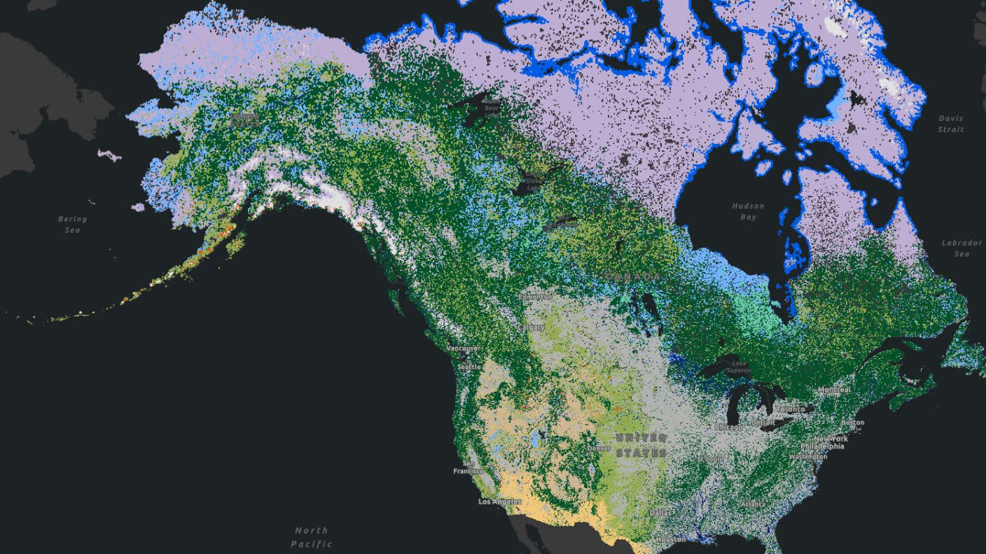 A multi-colored digital image of a continent with regions highlighted in green, yellow, and purple