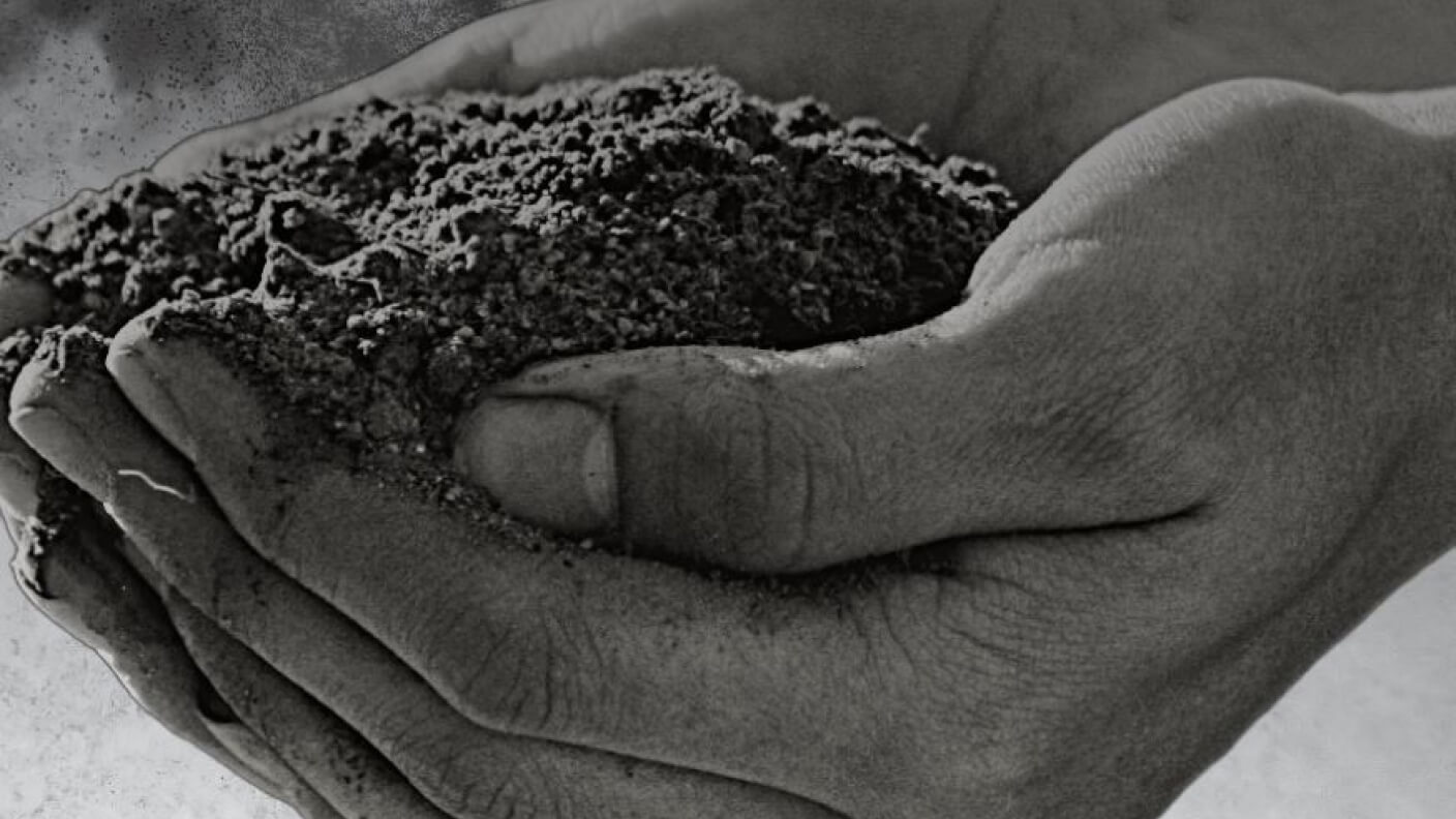 A closeup image of hands holding soil