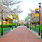 A brick walkway flanked by bike racks, green grass, cherry trees, and buildings