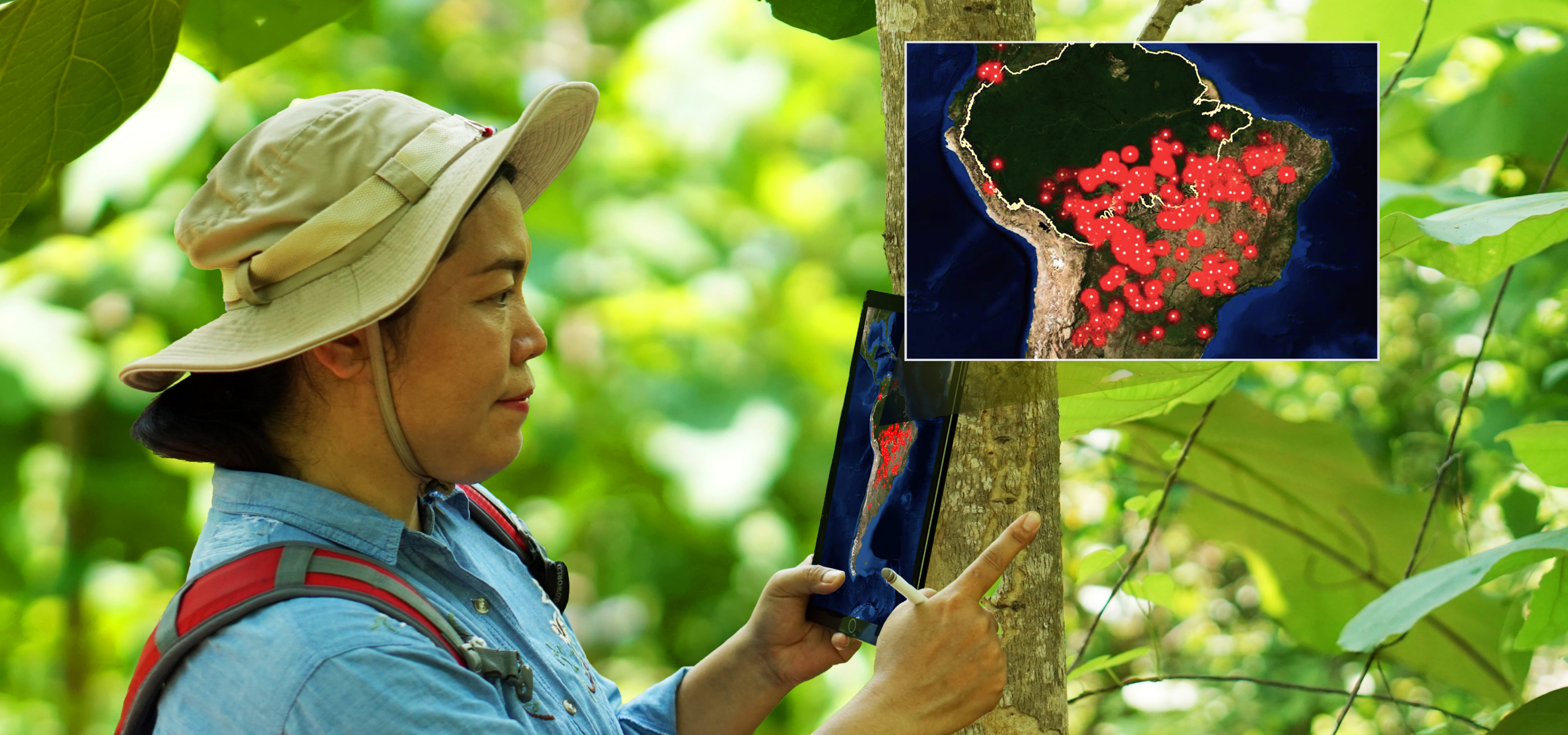 A researcher wearing a hat and backpack in a lush, green area using a tablet displaying plotted data points 