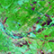 Satellite image of a large wooded area with several rivers in brilliant green, purple, and blue