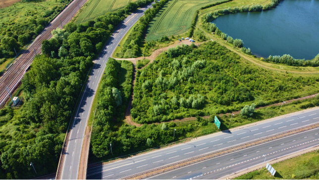 Roads around trees
