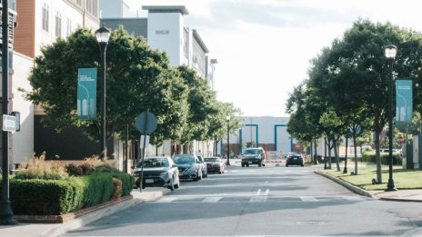 A street lined with trees and lampposts surrounded my multistory buildings