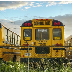 The backs of three school buses parked next to each other behind a chain link fence